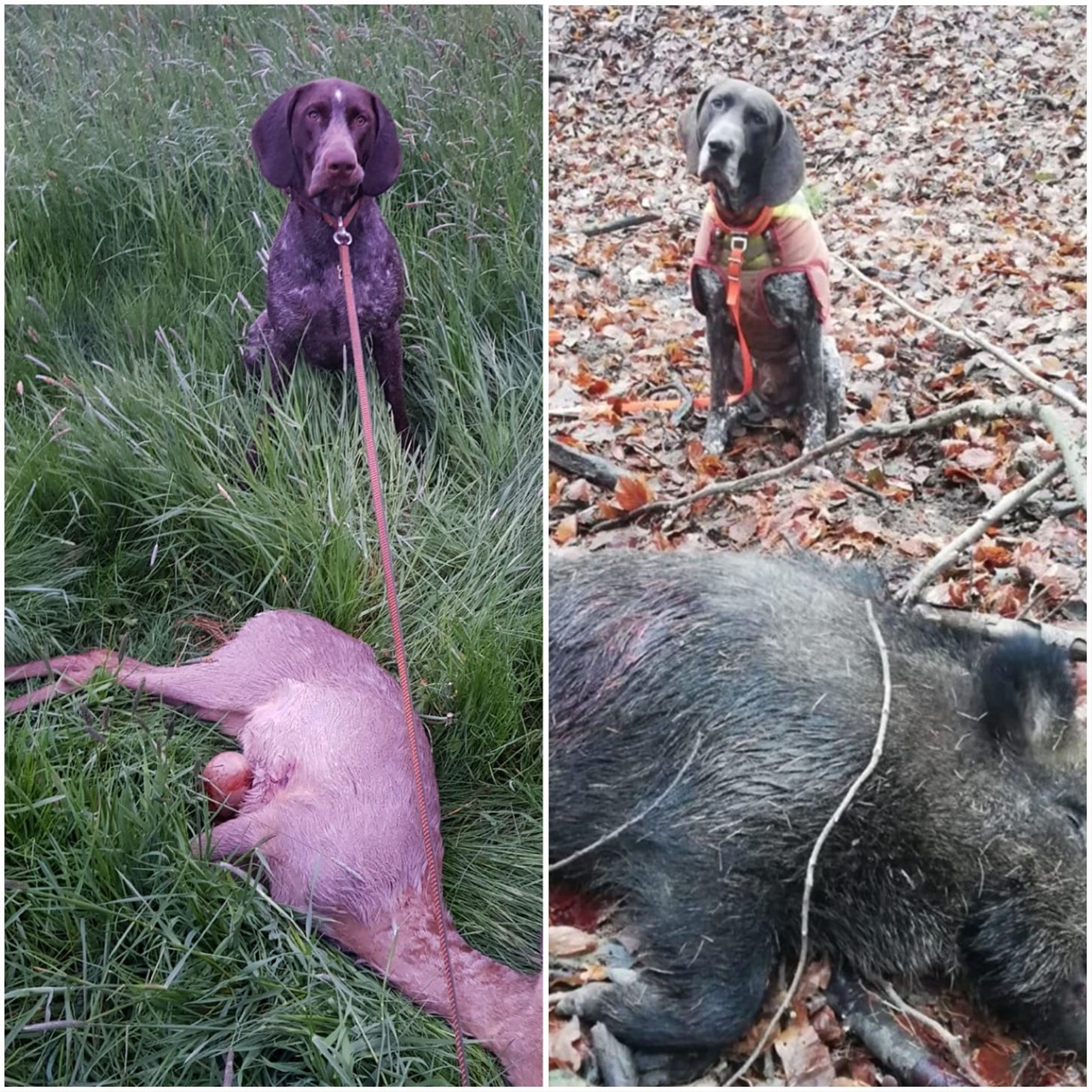 Ede und sein Vater Lutz