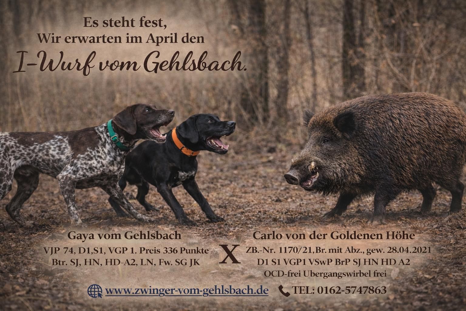 Wir erwarten im April den I- Wurf