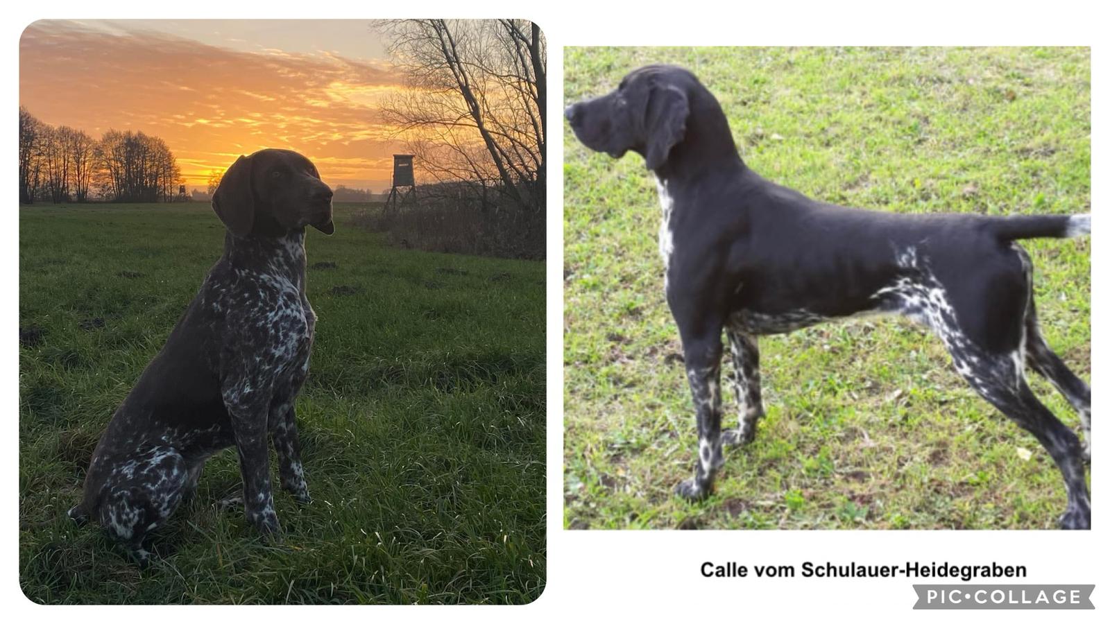 Gaya übernimmt würdevoll Coras großes Erbe